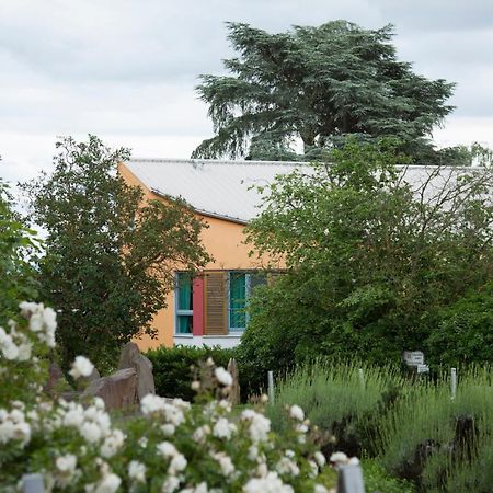 Alanus Gaestehaus Alfter Exterior foto