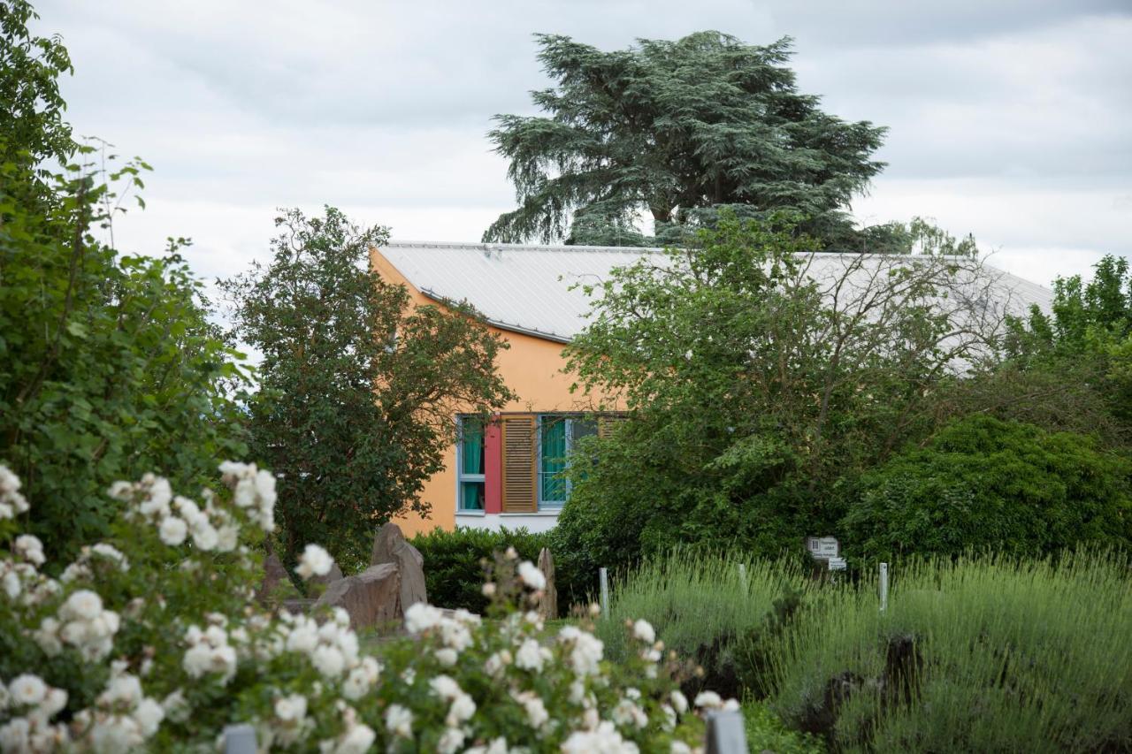 Alanus Gaestehaus Alfter Exterior foto